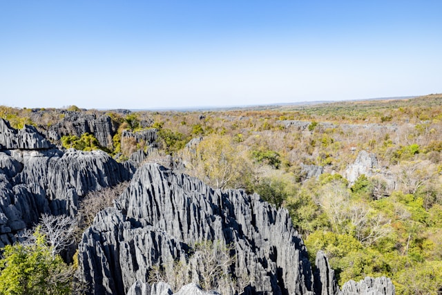 Ankarana — Les Tsingy